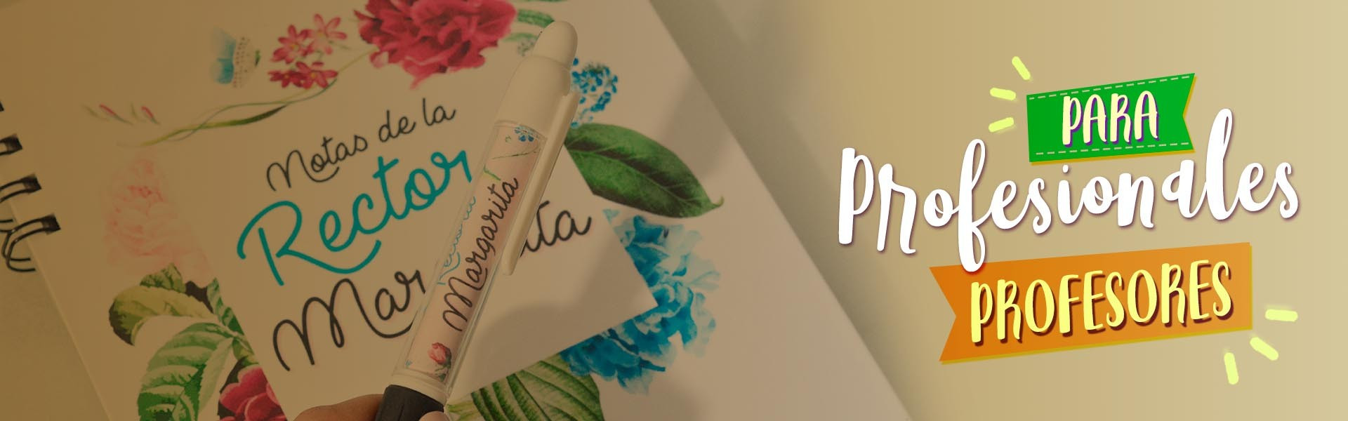 Maestros / Profesores